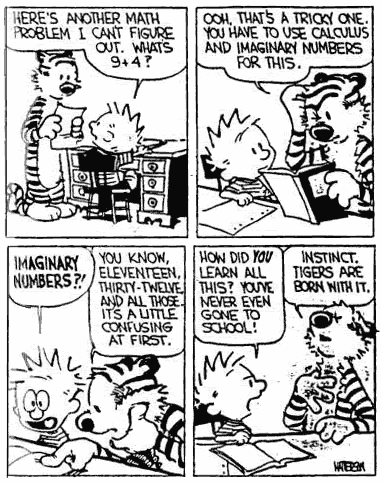 Calvin and Hobbes: Imaginary Numbers